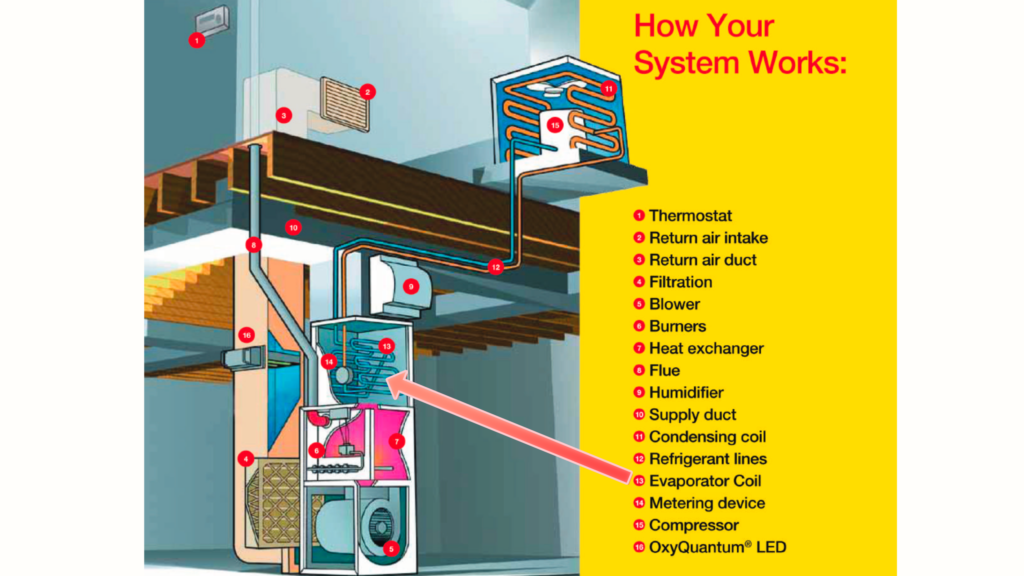Evaporator Coil Guide: Where is it located, how does it work, and why ...